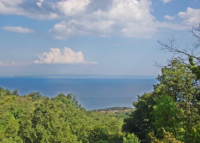 Spacious In Quiet Surrounding